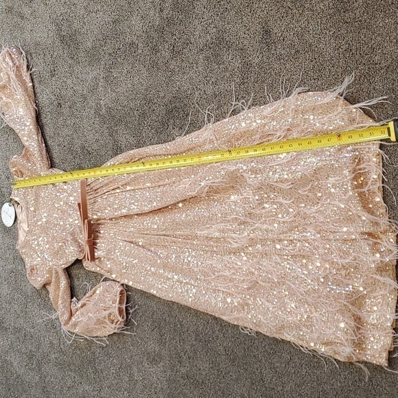 ANTONIO MELANI xNicola Bathie Nicola Sequin Belted Feathered A-Line 0 dress - Picture 12 of 16